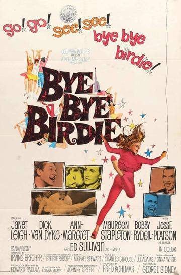 Bye Bye Birdie (1963) original movie poster for sale at Original Film Art