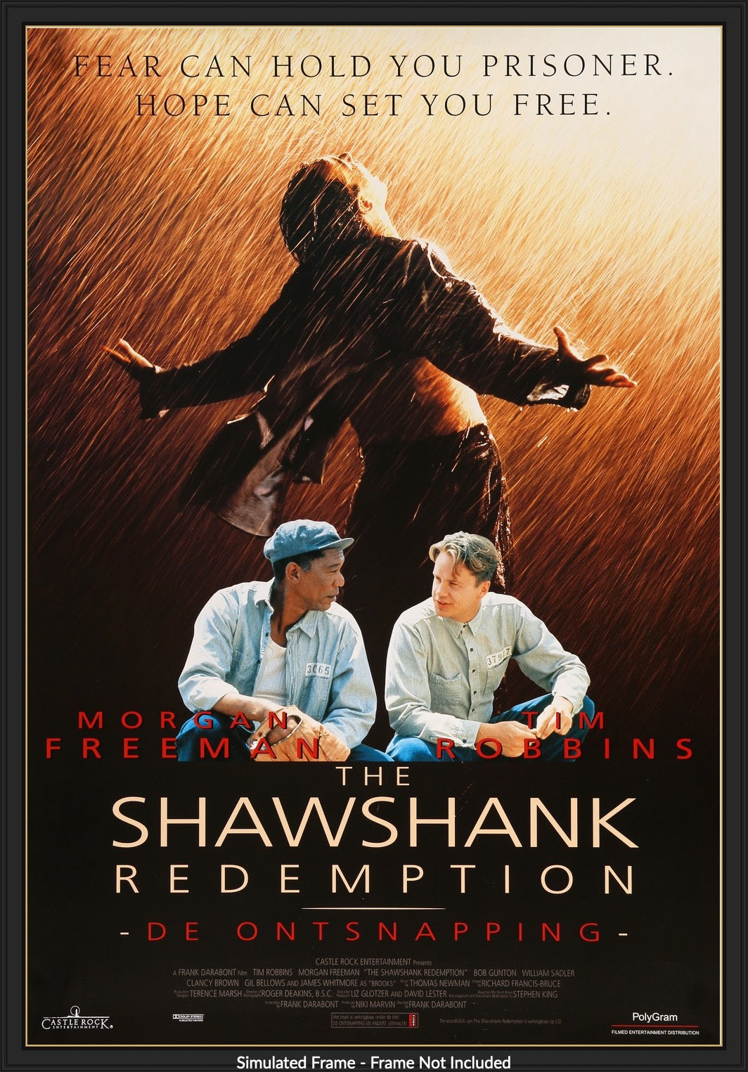 Shawshank Redemption (1994) original movie poster for sale at Original Film Art - Vintage Movie Posters